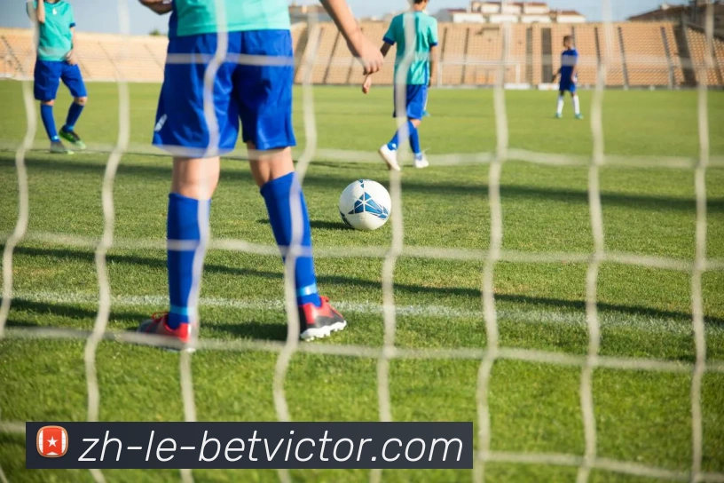 伟德官网全站App